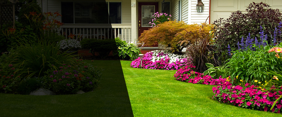 Woodstock Landscapers